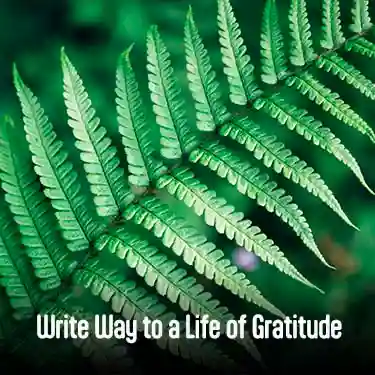 The Write Way to a Life of Gratitude