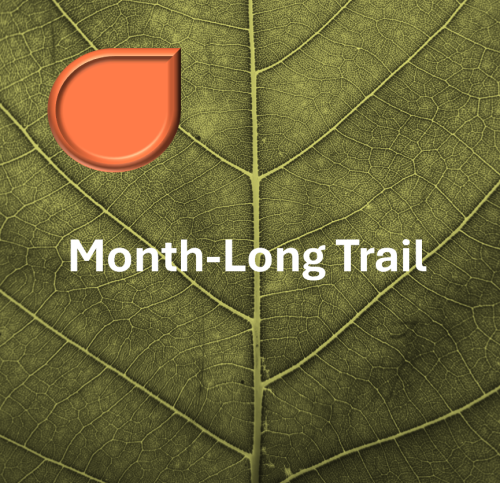 Month-Long Trail