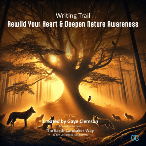 Rewild Your Heart and Deepen Nature Awareness